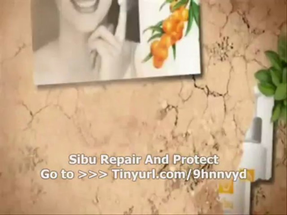 Sibu Repair And Protect : Discounts & Discount coupon Codes Sibu Repair And Protect