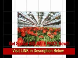 [SPECIAL DISCOUNT] Expansion Mansion Polyethylene and Polycarbonate Commercial Greenhouse Size / Span: 11'4 H x 63' W x 144' D with...