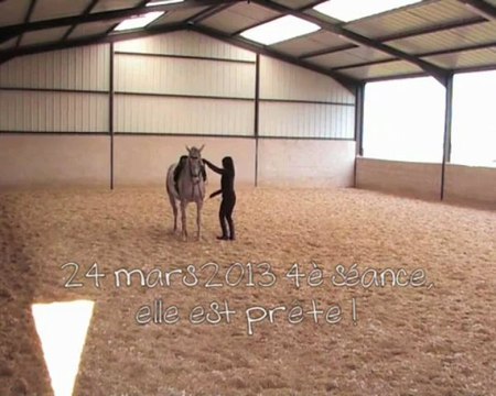 apprentissage de l'assis depuis le debout 2013