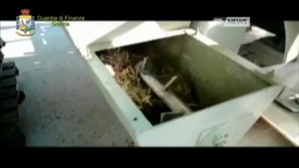 MAXI EVASIONE DA 8 MILIONI DI EURO