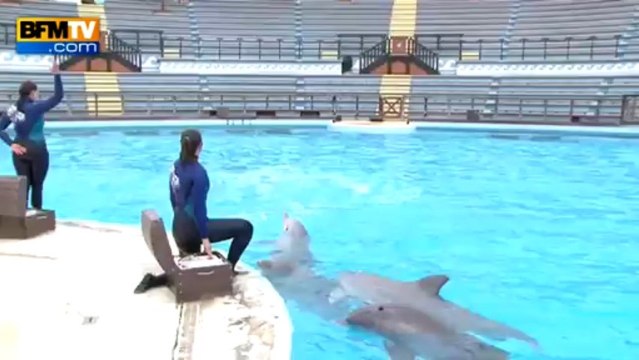 Le Parc Astérix rouvre ses portes avec de nouvelles attractions - 29/03