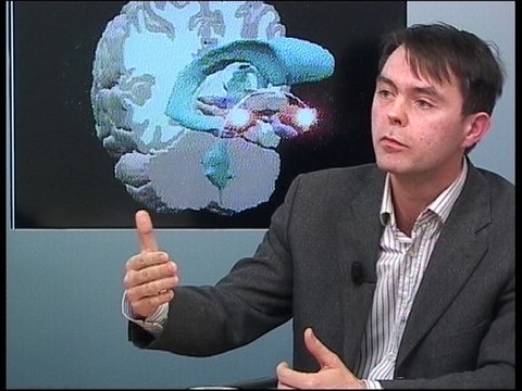 Panique mode d'emploi : Bohler plonge dans les amygdales de l'épargnant