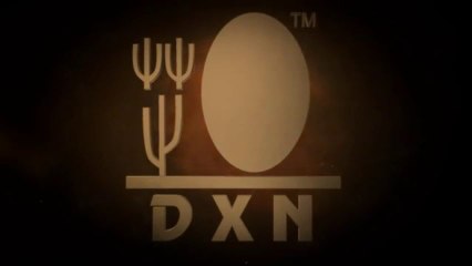 DXN Europe 4 éves Születésnapi Ünnepségének összefoglalója