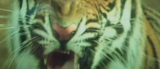 Himmatwala 2: Sequel of Action & Drama