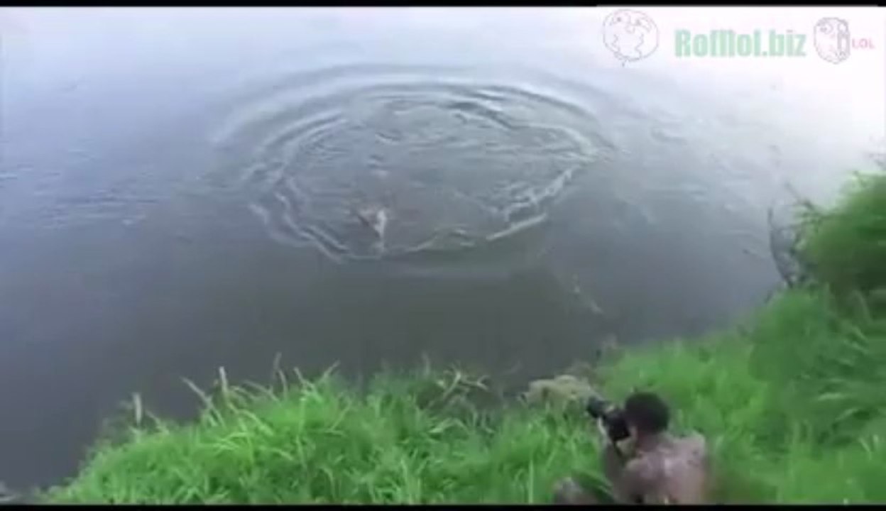 Kameramann vs. Krokodil