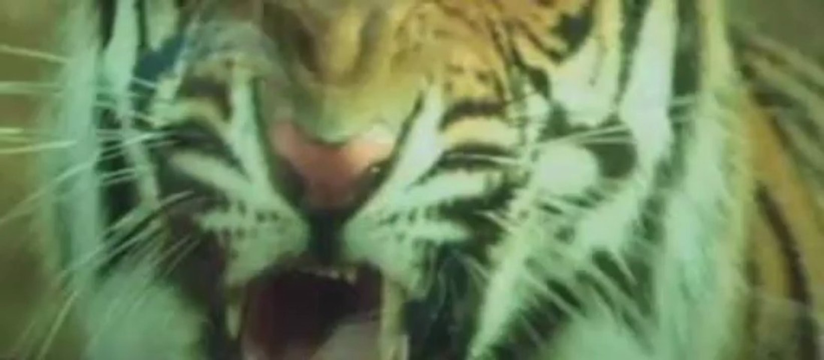 Himmatwala (2013) Watch Online Part 2 @ Apnicommunity.Com