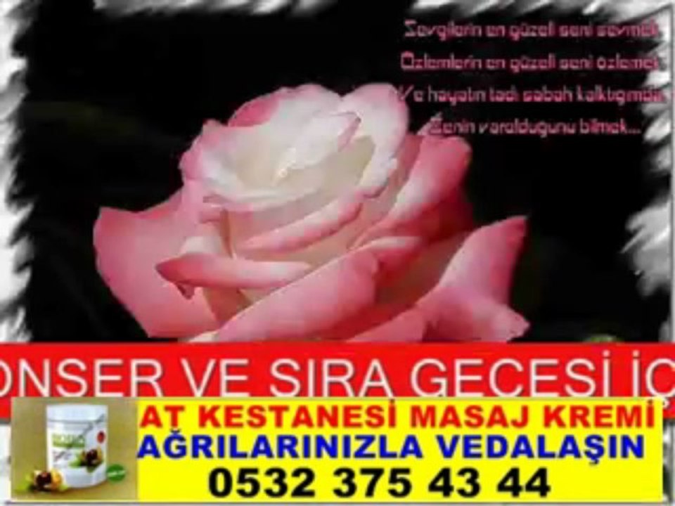 URFA AT KESTANESİ KREMİ