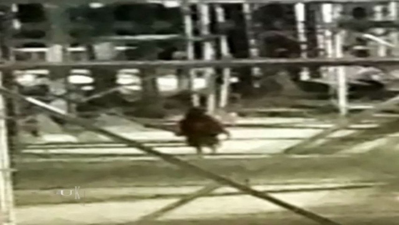 Unknown Entity Caught At Texas Gas Plant_ 2013 HD