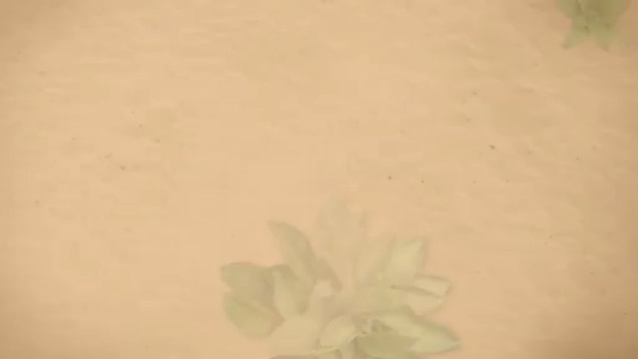 Ice cream cart rentals for parties, special events and more