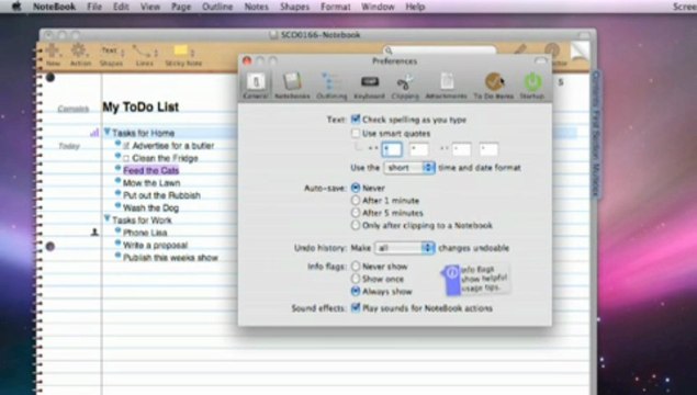 Outlining, To Dos & Annotating Notes in Circus Ponies NoteBook