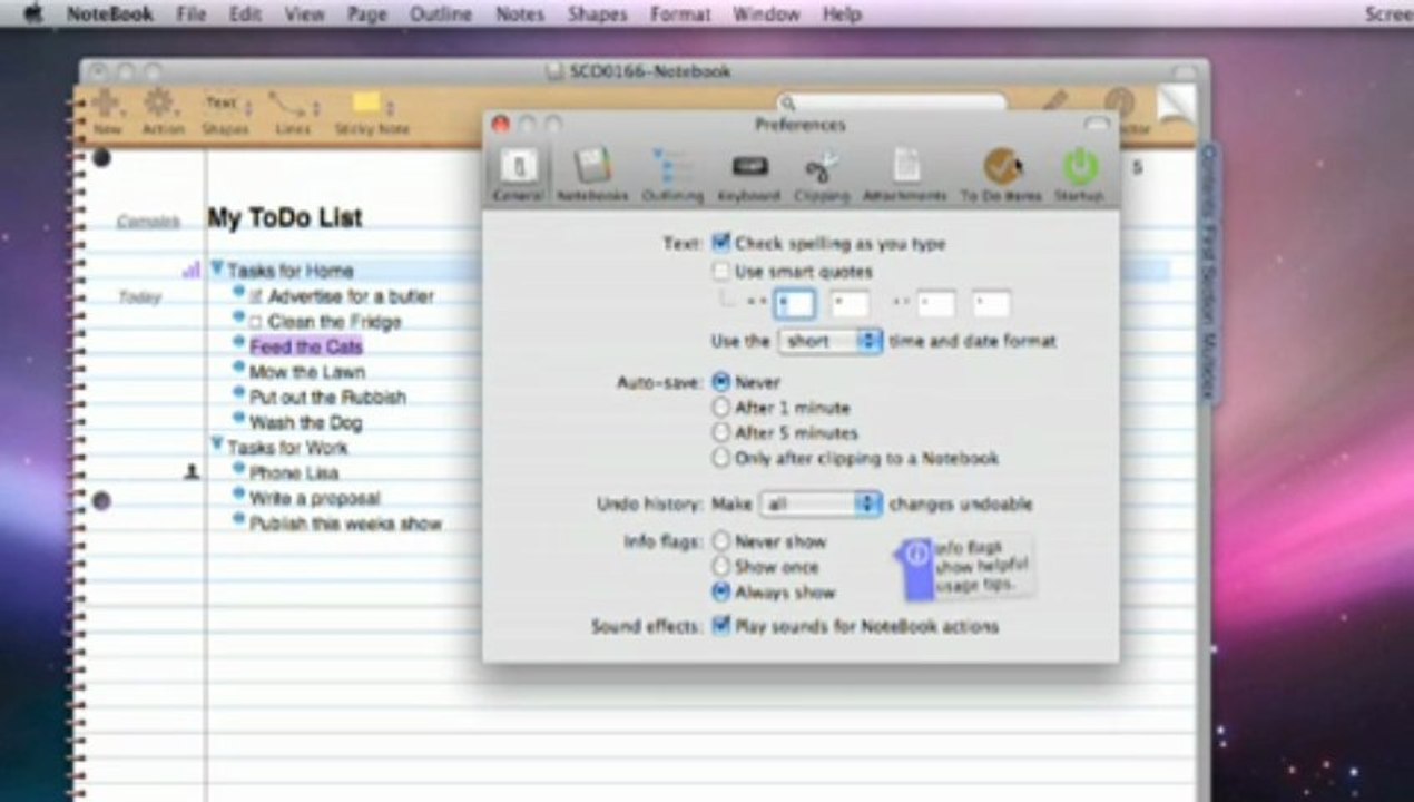 Outlining, To Dos & Annotating Notes in Circus Ponies NoteBook