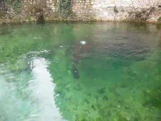 BSA 29 mars 2013 (3)