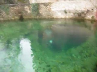 BSA 29 mars 2013 (5)