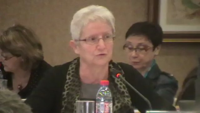 VESOUL : LE CONSEIL GENERAL VOTE LE TRANSFERT DU COLLÈGE GEROME SUR LE SITE DE L'IUFM