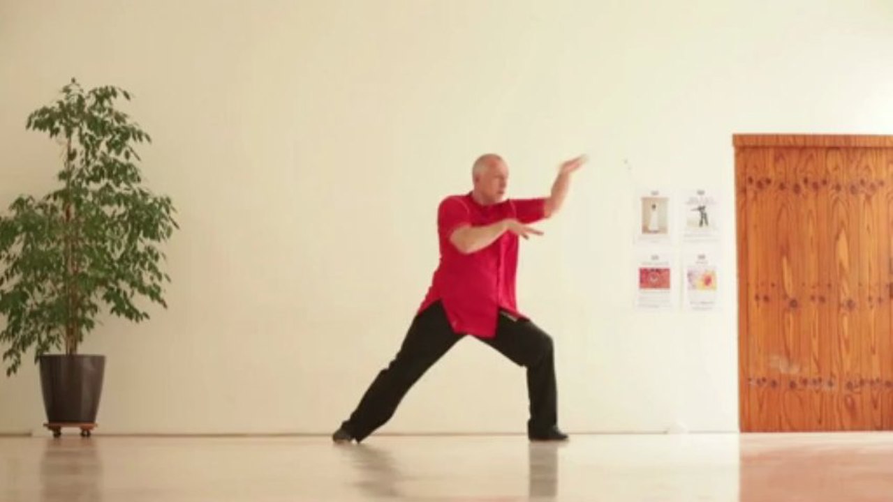 Partie 2 : L'année du Serpent d'eau et les Arts Martiaux