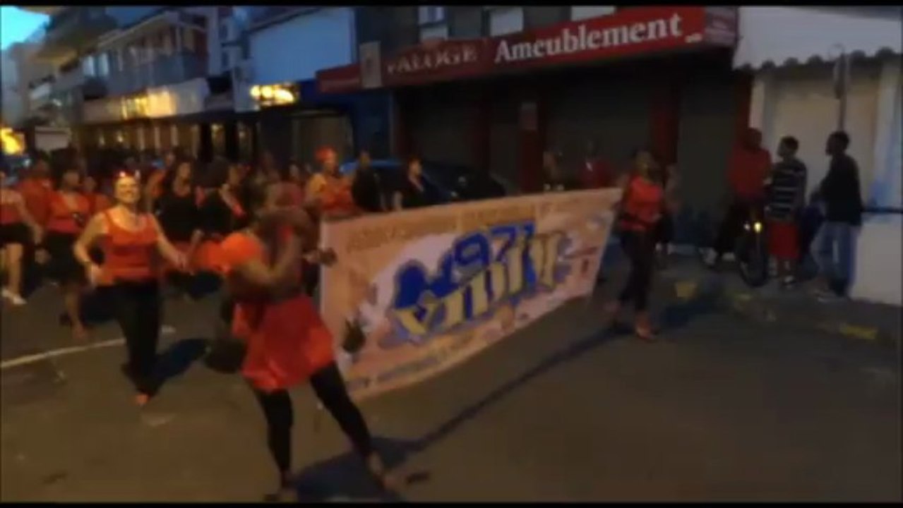 carnaval - VIDIM