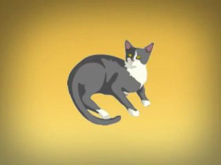 Kuantum Fiziğinde Schrödinger'in Kedisi Deneyi