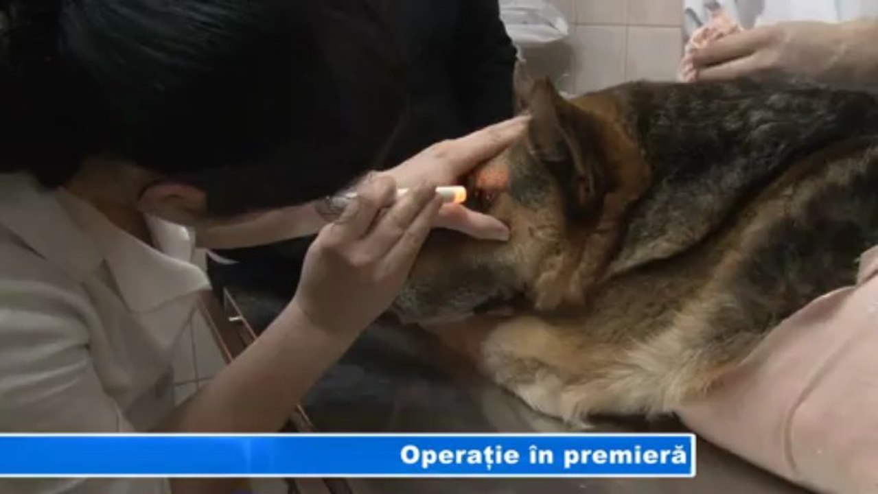Operatie in premira