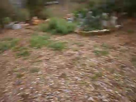 Jeux entre Hector et Eros le 29/03/2013 n° 2