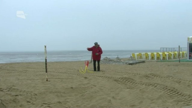 Festival cerf-volant de Châtelaillon