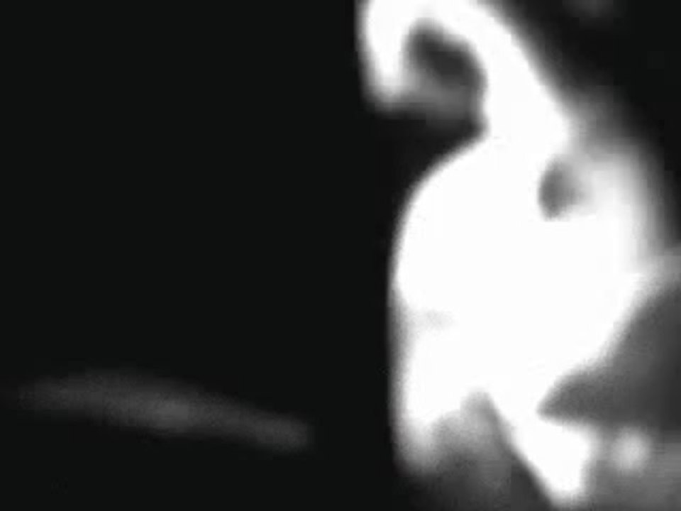 teste bande de batard