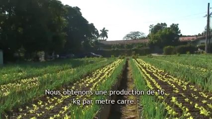 Semences, les racines du nouveau monde