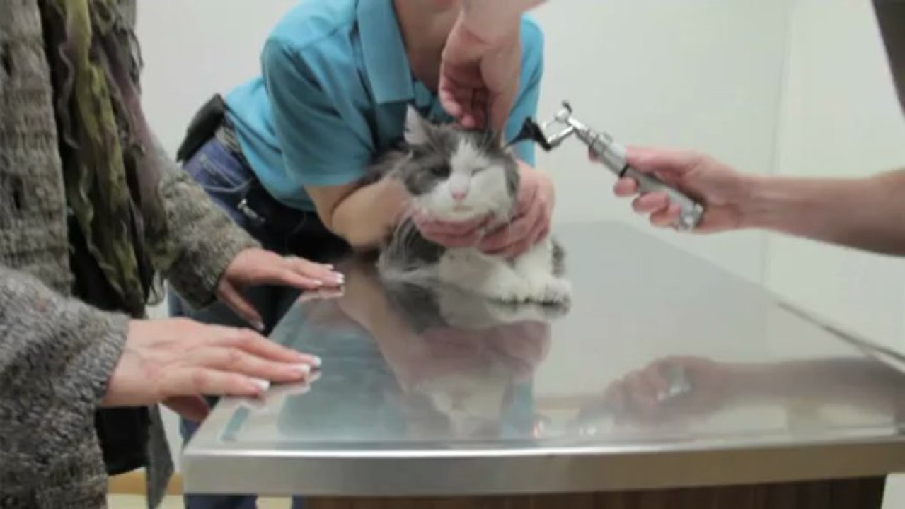 Welcome to Twin Rivers Veterinary Clinic