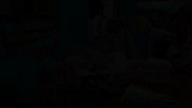 Carne de lhama ganha adeptos