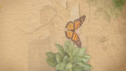 San Jose Financial Services