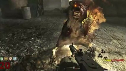 Custom Zombies - Farm Swamp: FINALE - Is There More Easter Egg? (Part 5)