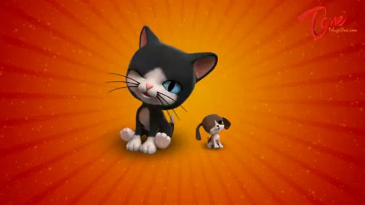 Pups & Kittens Promo
