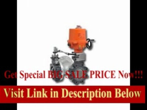[SPECIAL DISCOUNT] Belimo Aircontrols (Usa), Inc. Butterfly Valve