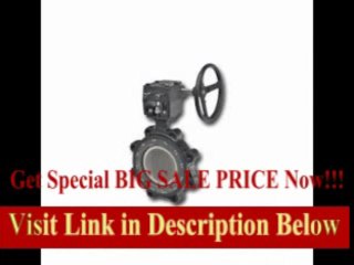 [REVIEW] Butterfly Valve