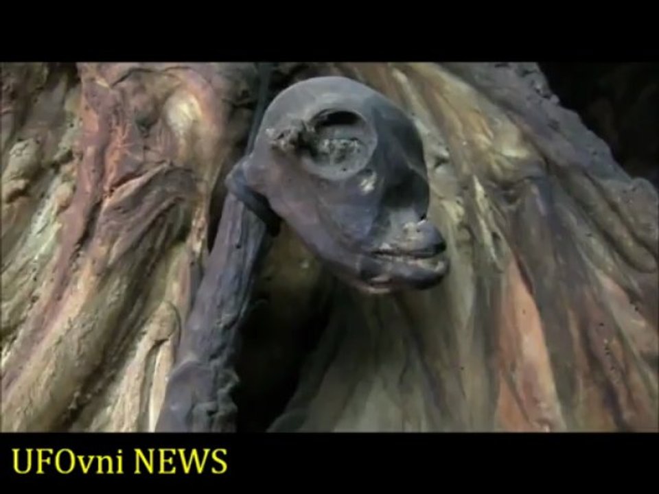 2nd Dead Alien body found at UFO sightings hot spot Russia 2013_ by UFOvni NEWS