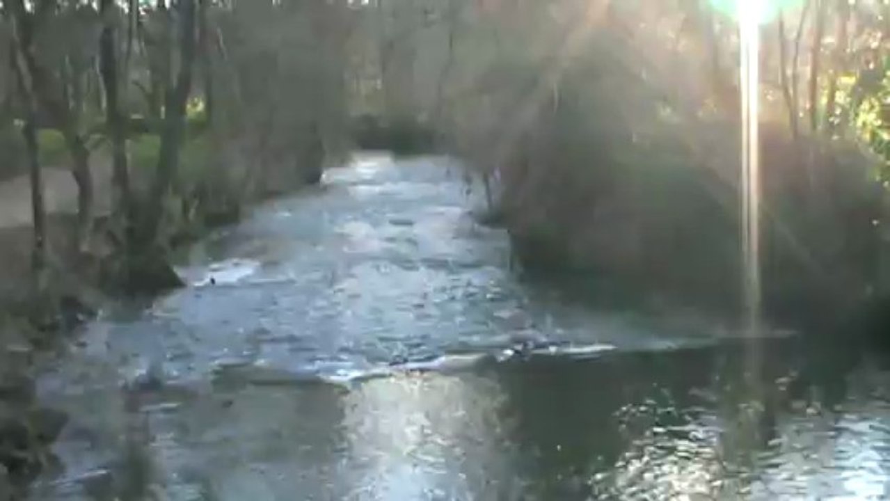 le Chambon
