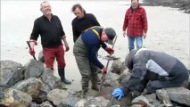 Pêcherie Granville - Travaux sur le bras Nord-Est (Vendredi 29 mars 2013)