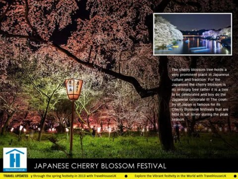 Festivals Around the World