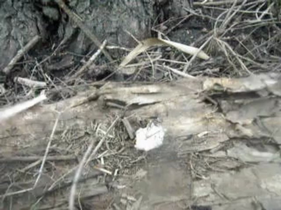 réaliser un feu