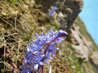 süper kareler AYDOS DAĞI