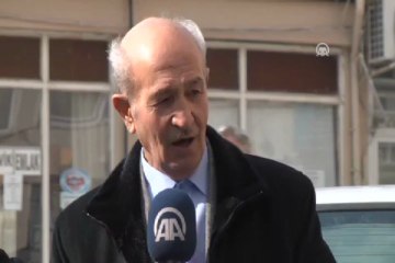 Kedi ve köpeklerin ilginç dostluğu