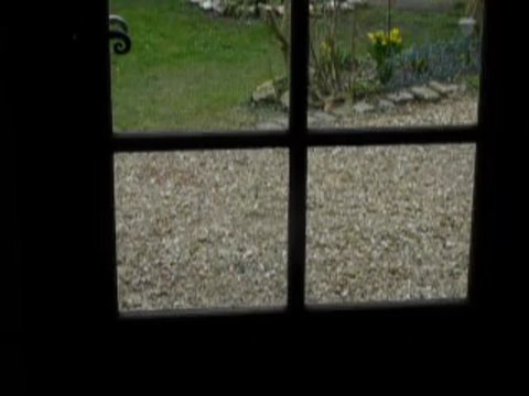 Helwen Jack Russel 9 mois