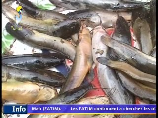 Pêche saisonnière au barrage d'Alhougna dans le Barh Azoum sur TOL