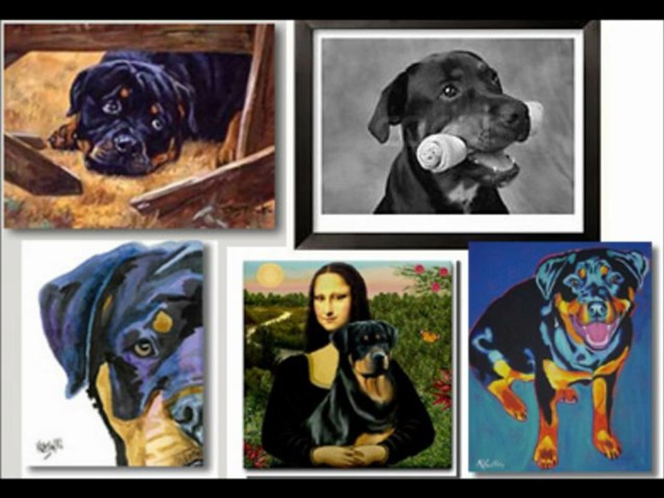 mes animaux