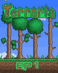 Terraria [1] Bases et explications