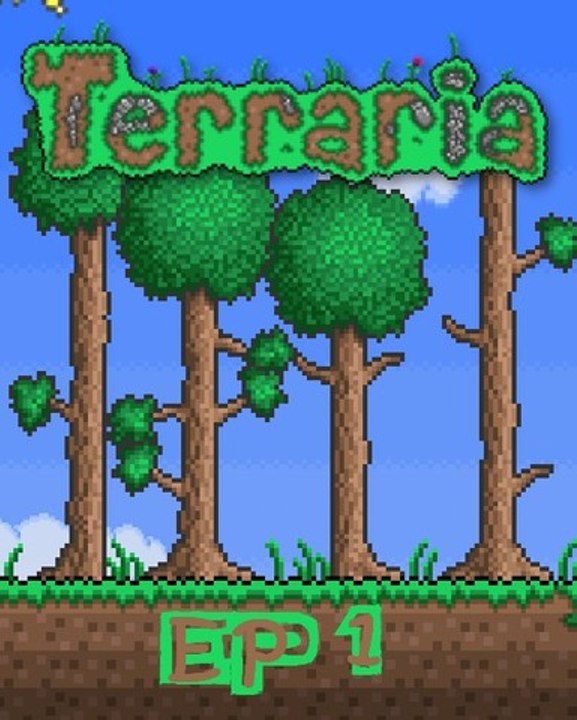 Terraria [1] Bases et explications