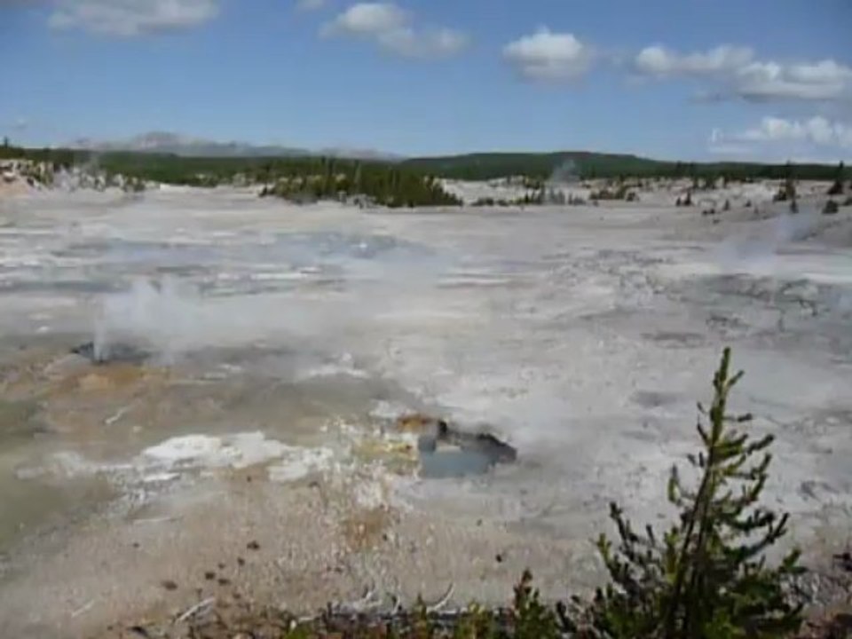 Yellowstone N.P. USA