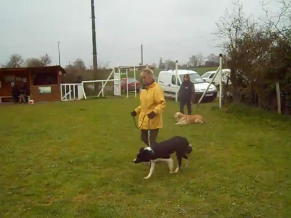 Excercice d'obéissance