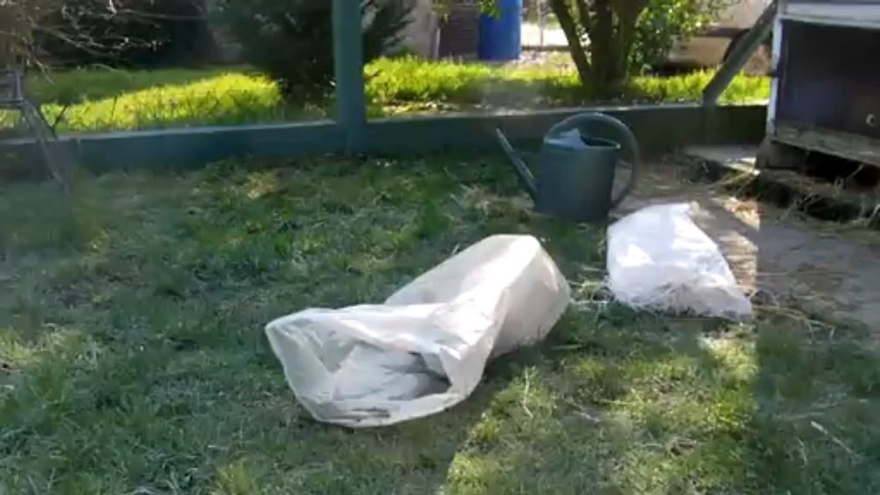 Chipie s'amuse dans le sac- mars2013