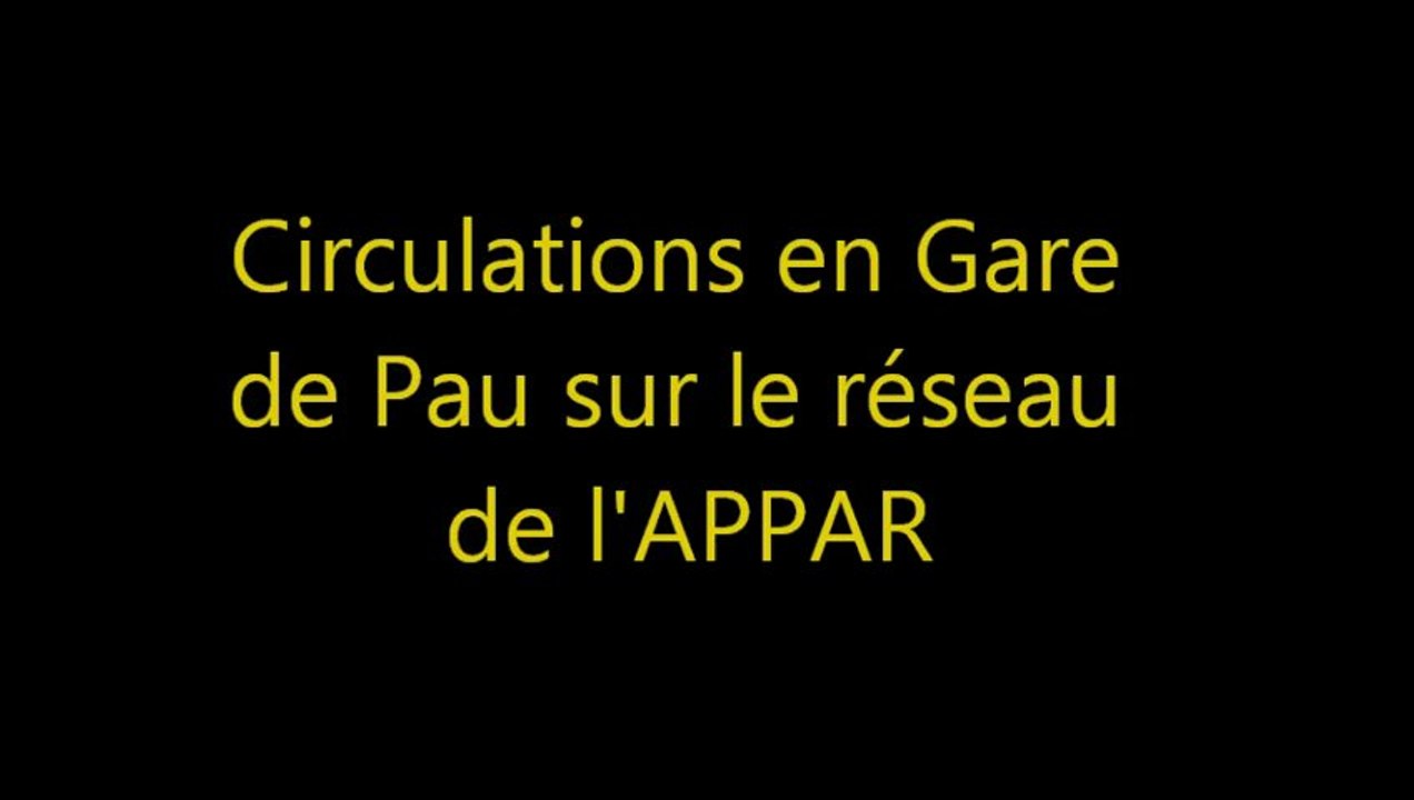 Circulations-Gare-Pau-reseau-APPAR-1