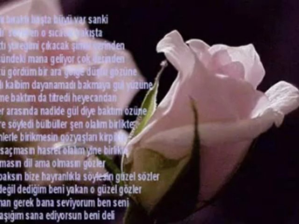 PhotoStory4_1